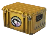Recoil Case