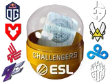 Rio 2022 Challengers Sticker Capsule