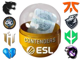 Rio 2022 Contenders Sticker Capsule