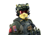 Artwork for Seal Team 6 Soldier | NSWC SEAL