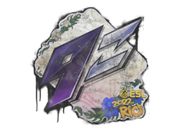 Sealed Graffiti | 9z Team | Rio 2022