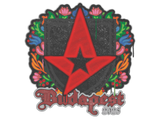 Artwork for Sealed Graffiti | Astralis | Budapest 2025