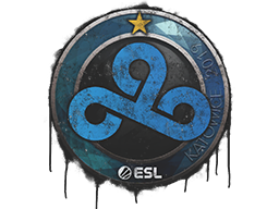 Sealed Graffiti | Cloud9 | Katowice 2019