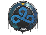 Artwork for Sealed Graffiti | Cloud9 | Katowice 2019