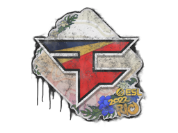 Sealed Graffiti | FaZe Clan | Rio 2022