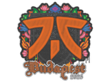 Artwork for Sealed Graffiti | fnatic | Budapest 2025