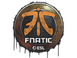 Artwork for Sealed Graffiti | Fnatic | Katowice 2019