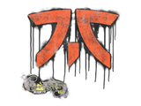 Artwork for Sealed Graffiti | Fnatic | Paris 2023