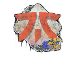 Sealed Graffiti | Fnatic | Rio 2022