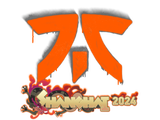 Artwork for Sealed Graffiti | Fnatic | Shanghai 2024