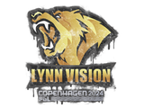 Artwork for Sealed Graffiti | Lynn Vision | Copenhagen 2024
