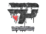 Artwork for Sealed Graffiti | paiN Gaming | Copenhagen 2024