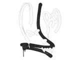 Artwork for Sealed Graffiti | Recoil M4A4 (Shark White)