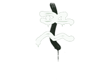 Artwork for Sealed Graffiti | Recoil XM1014 (Cash Green)