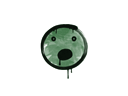 Sealed Graffiti | Speechless (Jungle Green)