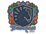Artwork for Sealed Graffiti | Team Liquid | Budapest 2025