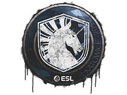 Sealed Graffiti | Team Liquid | Katowice 2019