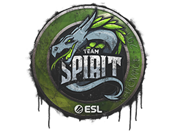 Sealed Graffiti | Team Spirit | Katowice 2019