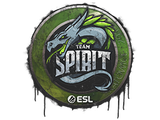 Artwork for Sealed Graffiti | Team Spirit | Katowice 2019