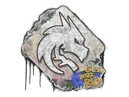 Sealed Graffiti | Team Spirit | Rio 2022