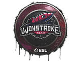 Artwork for Sealed Graffiti | Winstrike Team | Katowice 2019