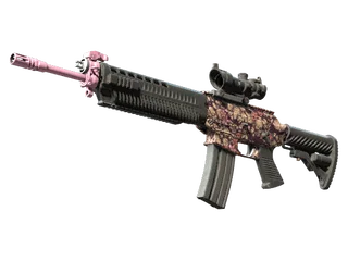 SG 553 | Desert Blossom