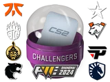 Shanghai 2024 Challengers Sticker Capsule