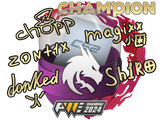 Artwork for Capsule | Shanghai 2024 Champions Autograph Capsule