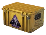 Shattered Web Case