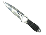 Artwork for [BS] ★ Skeleton Knife | Stained