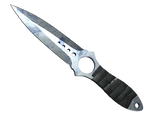 Artwork for [FN] ★ Skeleton Knife | Stained