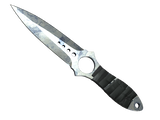 Artwork for [FT] ★ Skeleton Knife | Stained