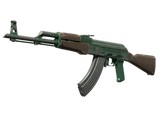 Artwork for [BS] SV AK-47 | Wintergreen