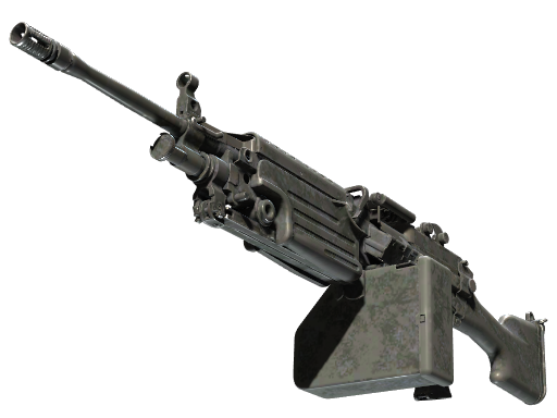 M249 | Midnight Palm