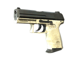 Artwork for [FT] SV P2000 | Ivory