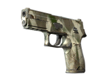 Artwork for [FT] SV P250 | Bone Mask