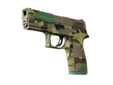 Artwork for [FN] SV P250 | Boreal Forest