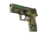Artwork for [WW] SV P250 | Boreal Forest