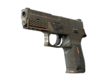Artwork for [BS] SV P250 | Bullfrog