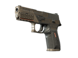 Artwork for [FT] SV P250 | Bullfrog