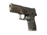 Artwork for [MW] SV P250 | Bullfrog