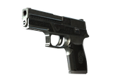 Artwork for [BS] SV P250 | Cartel