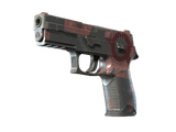 Artwork for [FT] SV P250 | Constructivist