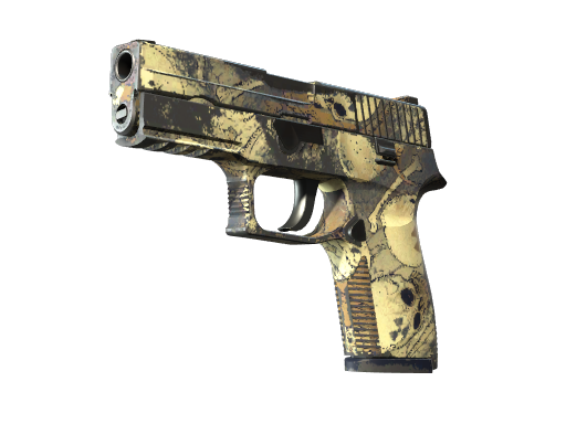 P250 | Contamination