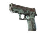 Artwork for [BS] SV P250 | Copper Oxide
