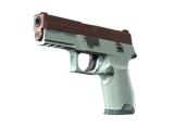 Artwork for [MW] SV P250 | Copper Oxide