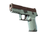 Artwork for [WW] SV P250 | Copper Oxide