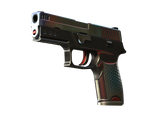 Artwork for [WW] SV P250 | Cyber Shell