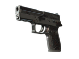 Artwork for [BS] SV P250 | Dark Filigree