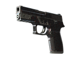 Artwork for [FT] SV P250 | Dark Filigree